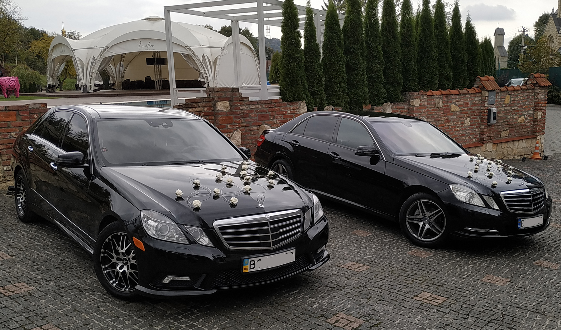 Весільні декорації у мінімалізмі 15 троянд та 15 орхідей на прокат. Прикраси на весільні авто у Львові