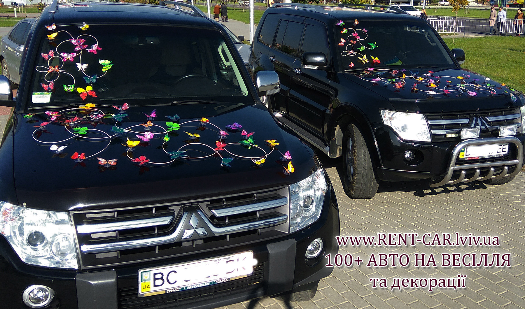 Декорація з метеликів на весільний автомобіль. Весільний декор на прокат у Львові