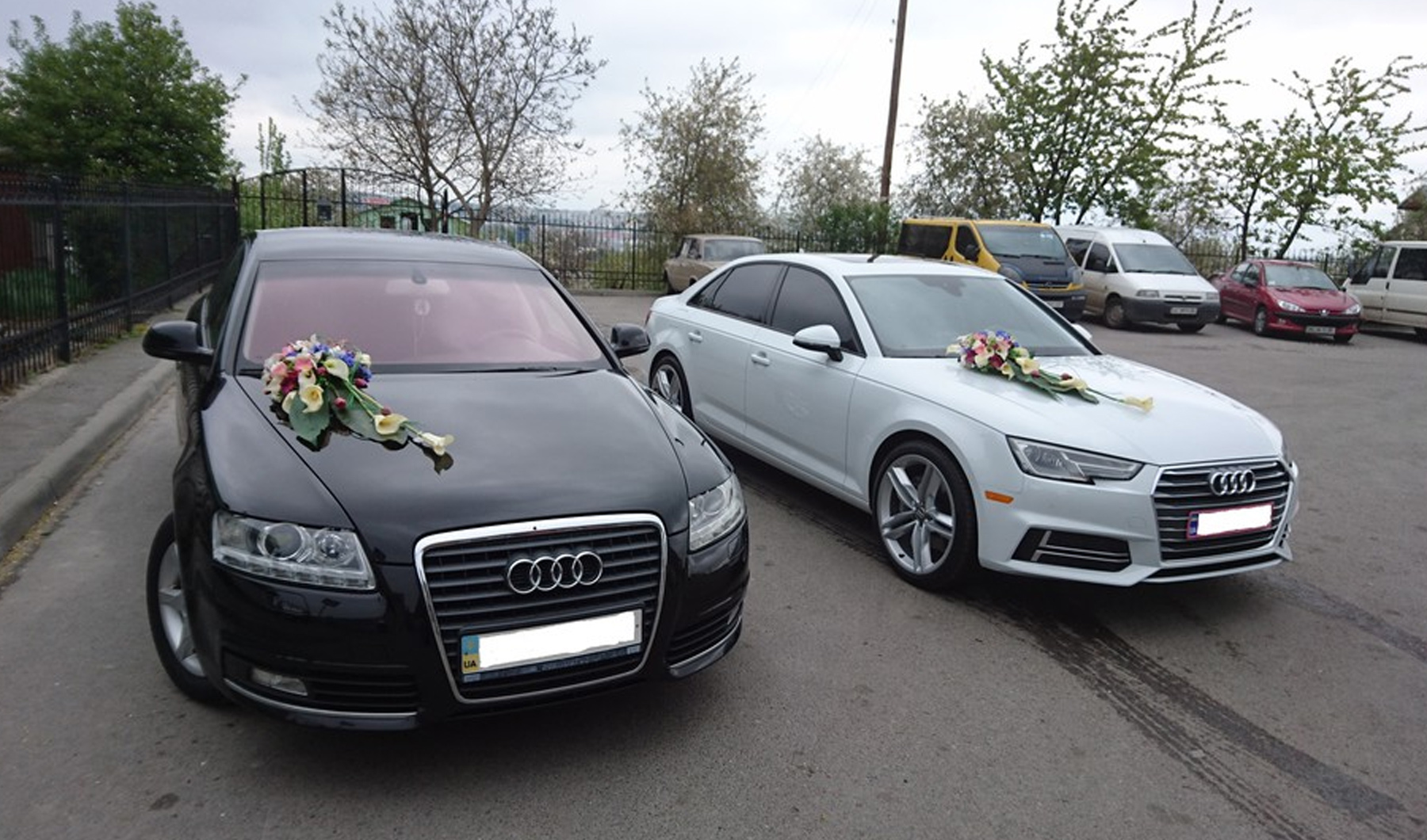 Квіткова магія - прикраси на весільний автомобіль. Декор на весільні машини на прокат у Львові