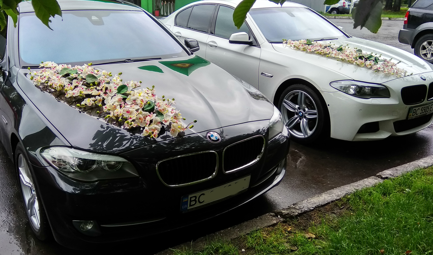 Композиція на весільний автомобіль Фаленопсіс-орхідея. Прокат декору на весільні машини у Львові
