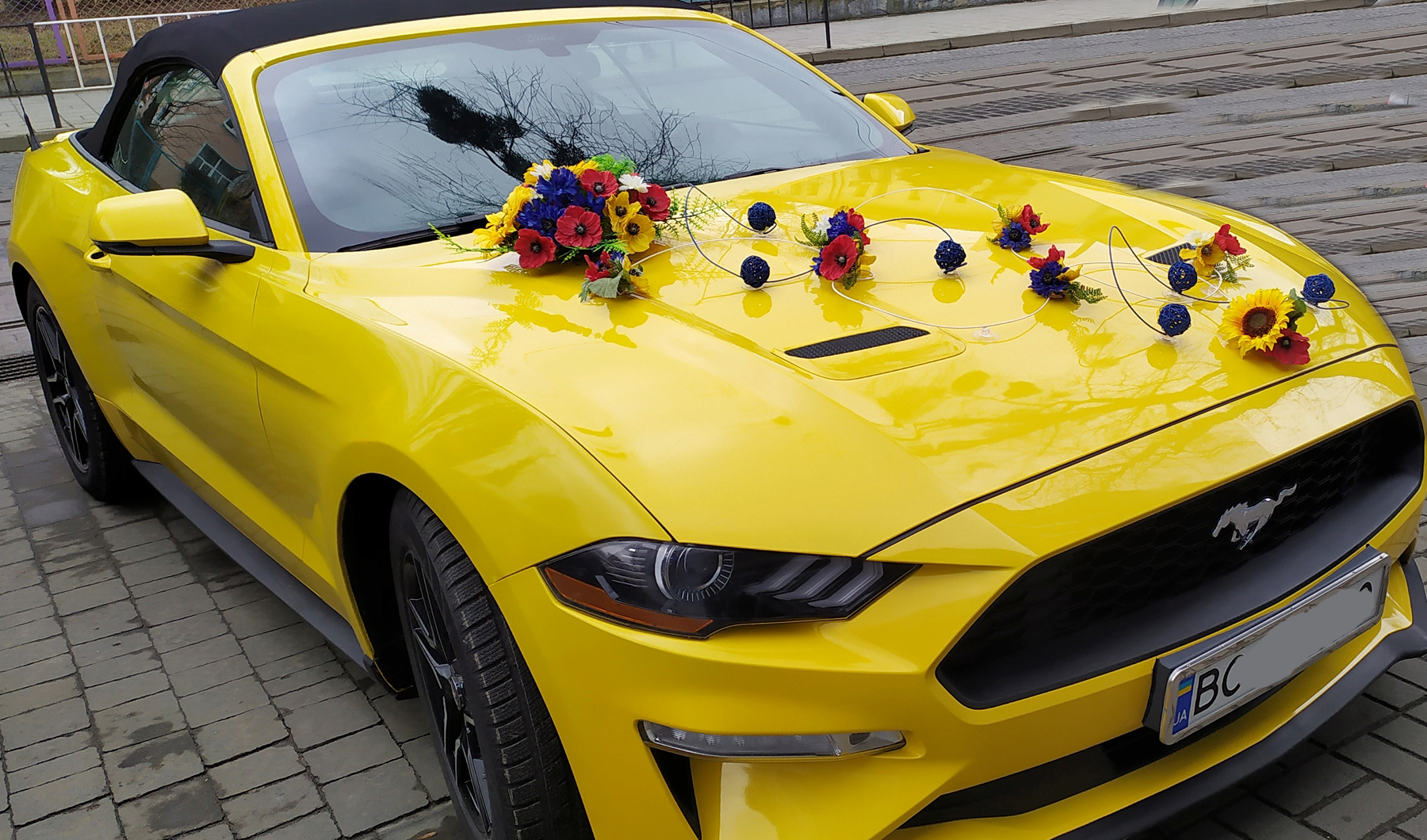 Прикрашення весільних машин Українська соната. Прокат декору на весільні авто у Львові