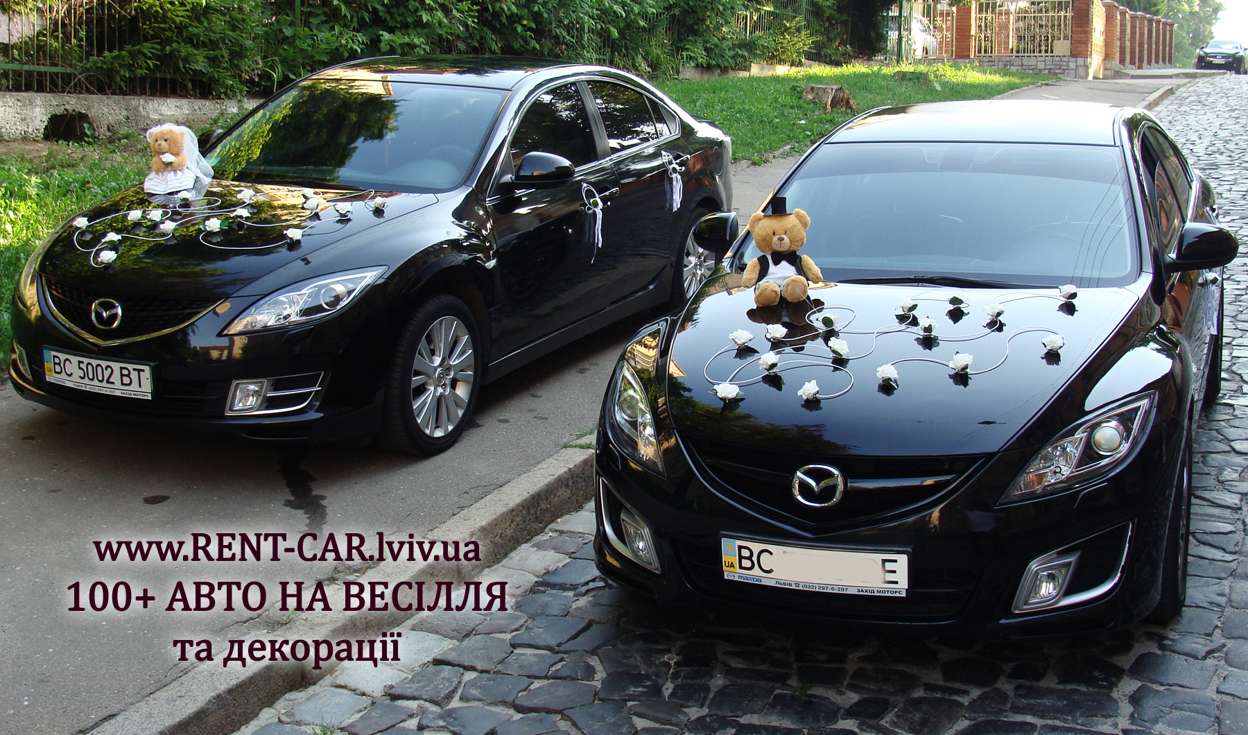 Весільна декорація на авто Ніжна любов. Прикраси весільні на прокат у Львові