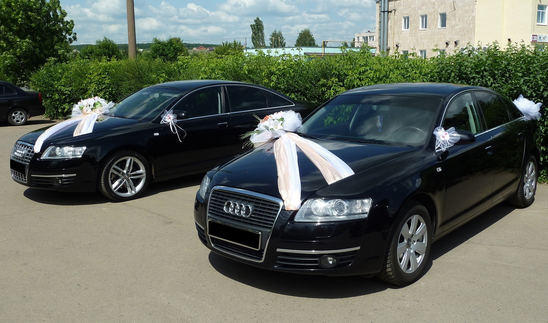 Весільні автомобілі бізнес-класу на прокат Audi A6. Весільний кортеж у Львові