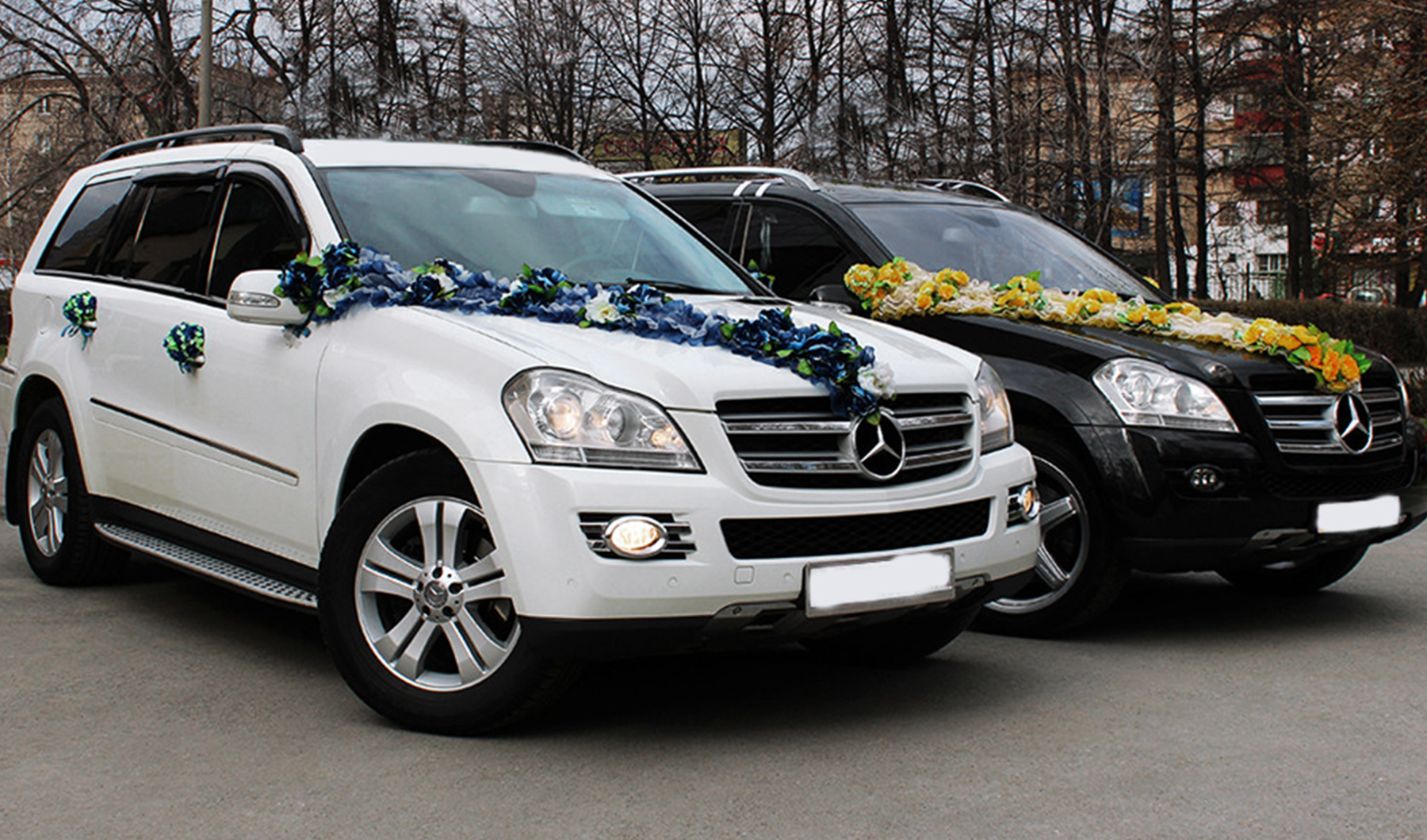 Весільний кортеж з Mercedes-Benz gl в елегантному чорному кольорі. Прокат весільних машин у Львові.