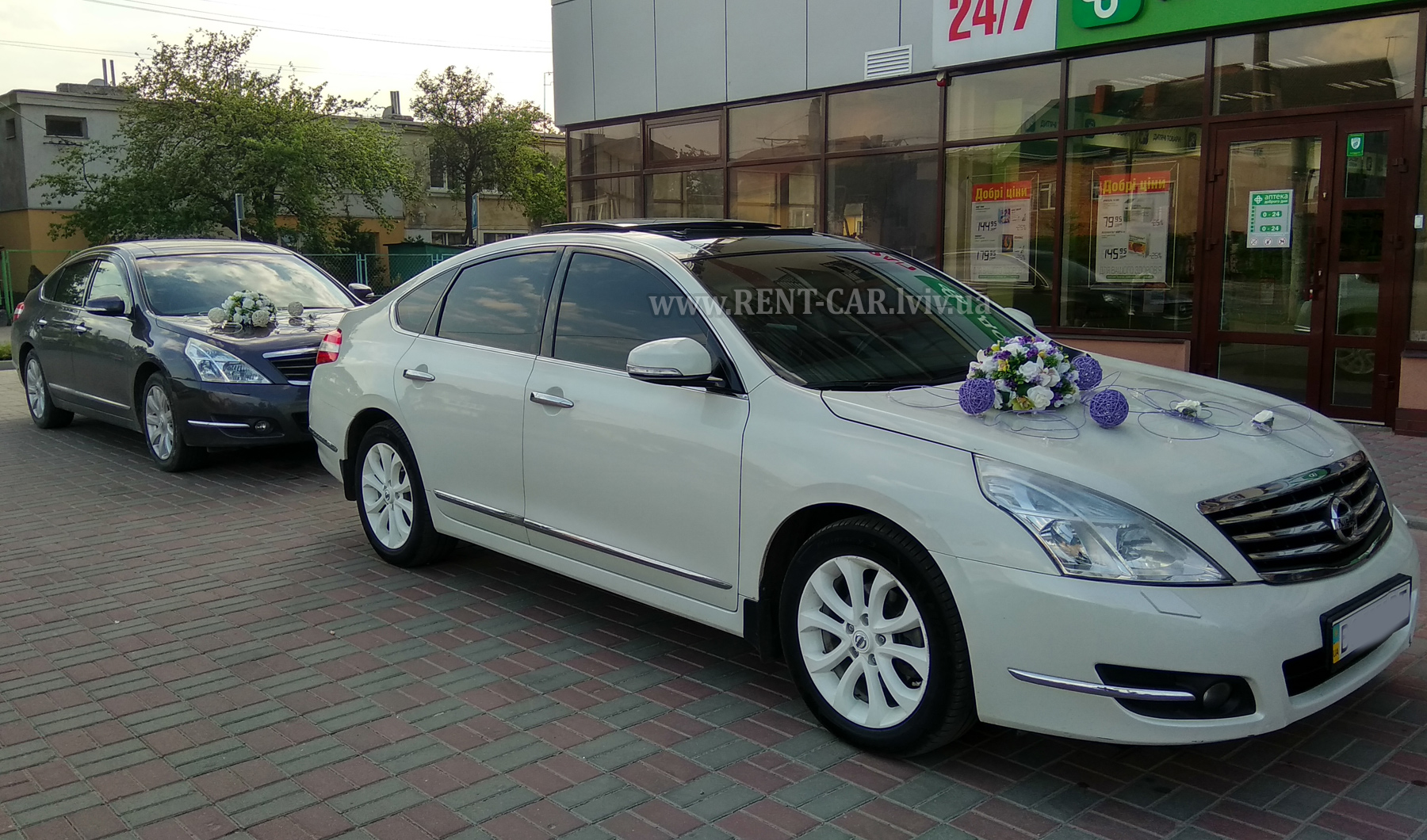 Весільні машини на прокат у Львові Nissan Teana. Прокат авто на весілля
