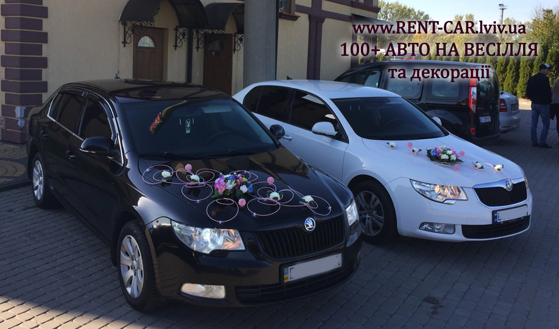 Весільні машини у Львові Skoda Superb 2011 рік. Весільні автомобілі на прокат